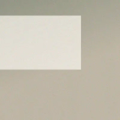 NG2